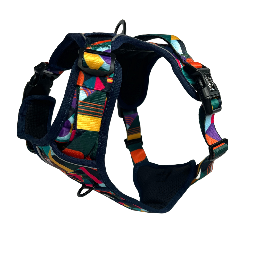 Aurora Adventure Harness