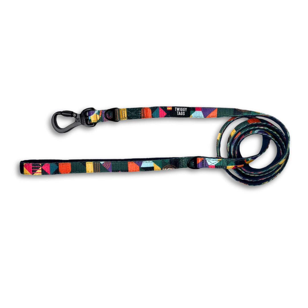 A multi-coloured dog lead with a small
black carabiner clip