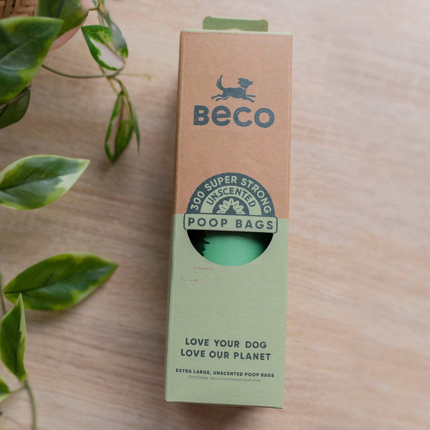 A beco XL dispenser roll box, it's half brown and half green (bottom half of the box). There is plant leaves from top to bottom of left side of the page, covering 1/4 of the page