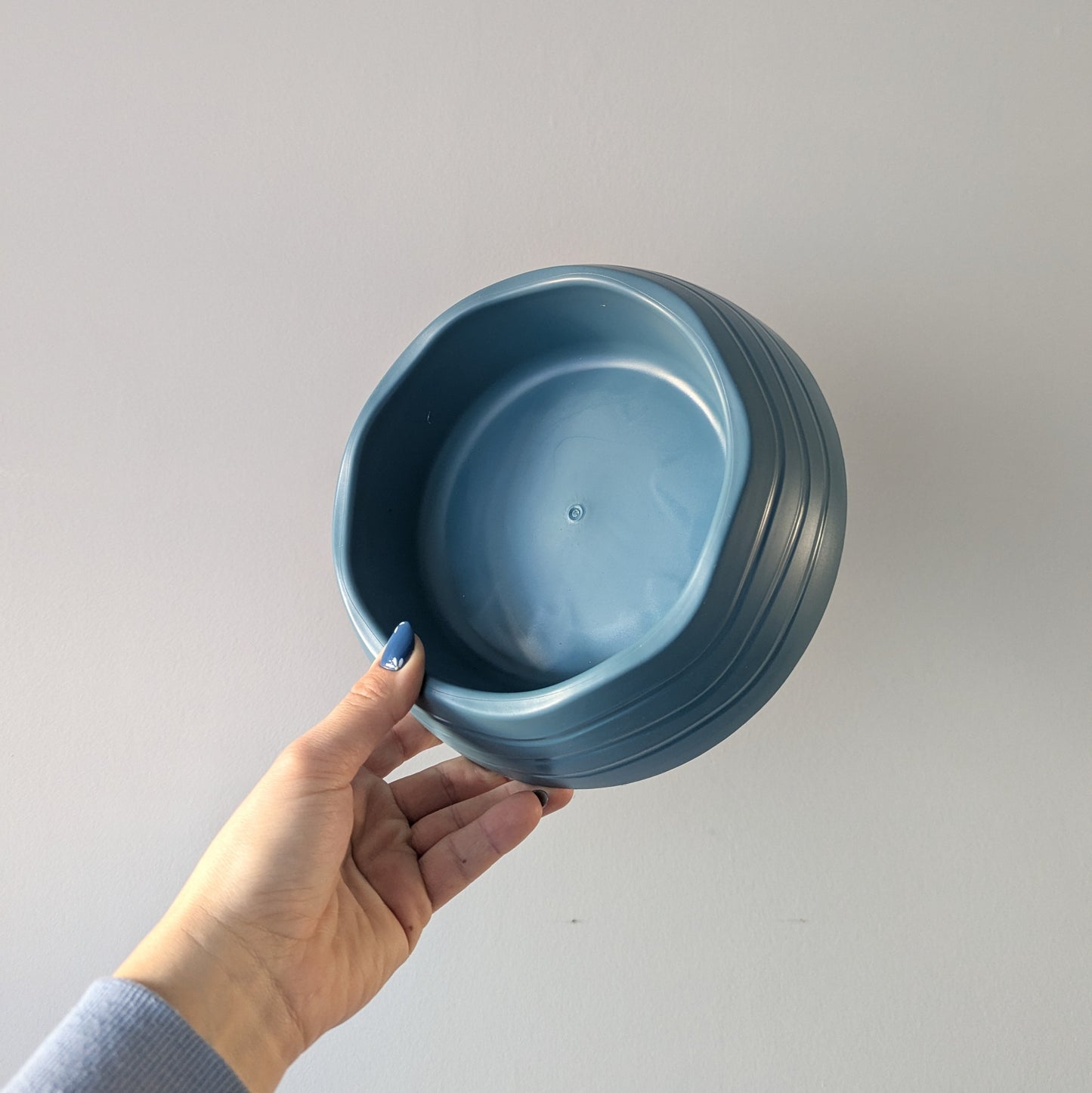 A blue recycled plastic dog bowl is being held against a plain wall