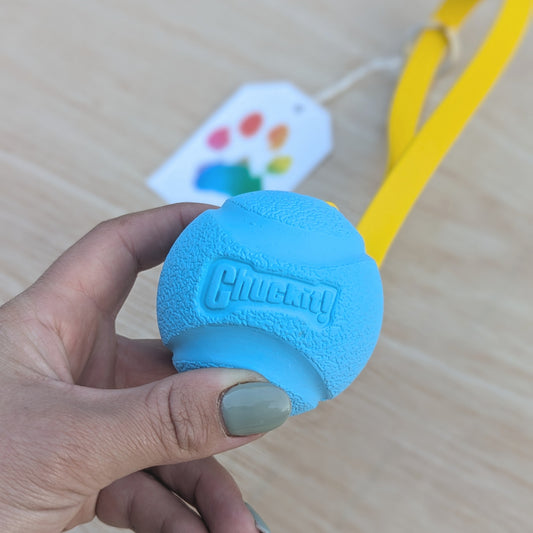 A close up of the blue ChuckIt ball showing the ChuckIt logo