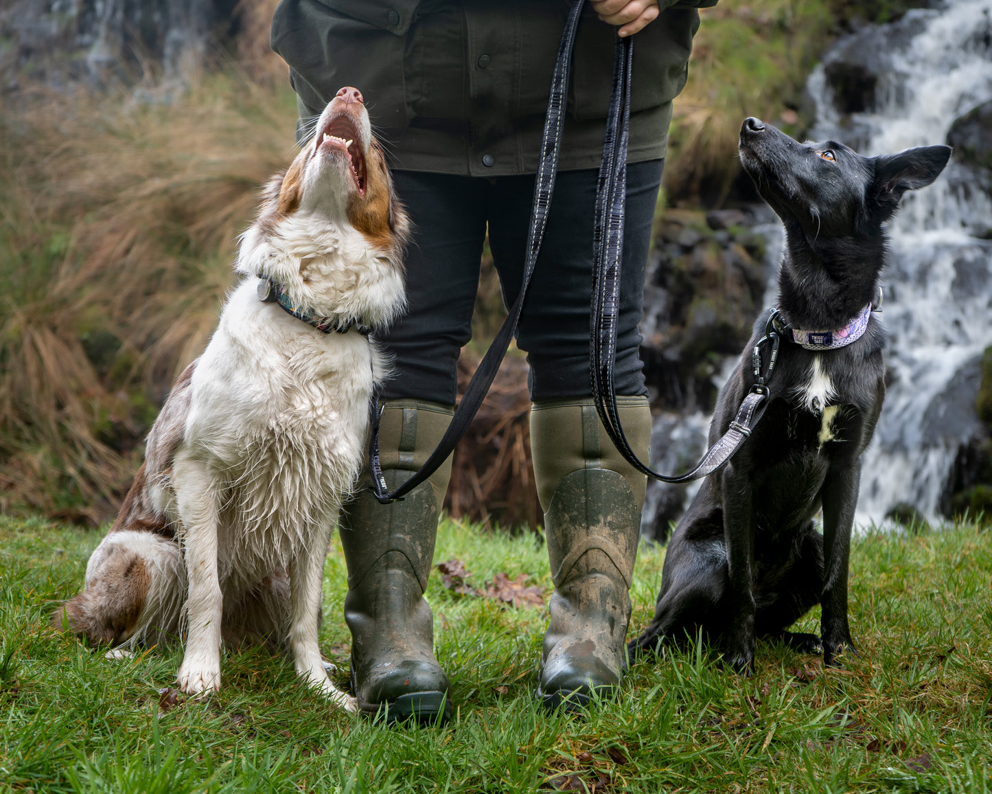 Onyx TrailFinder Multi-way Lead