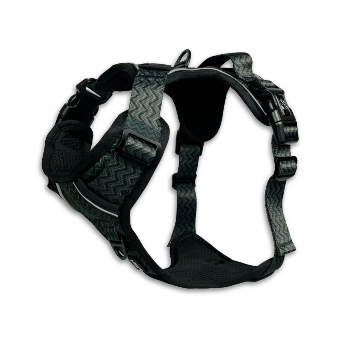 Petrichor Adventure Harness