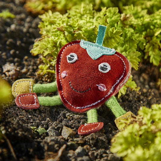 Steve the Strawberry Eco Toy