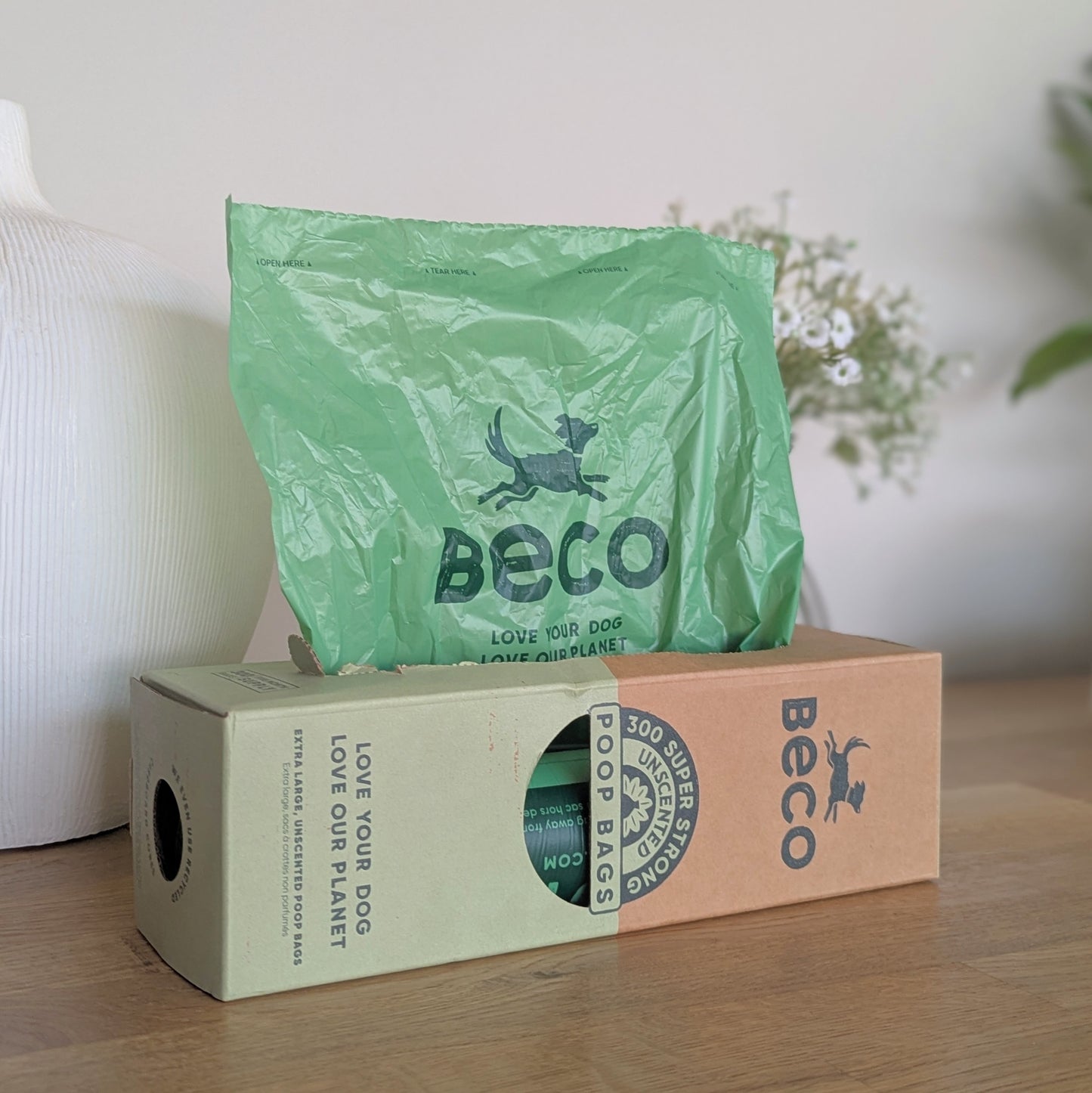 a dispenser box, with a poo bag exposed. It's exactly like a box of tissues, but green poo bags