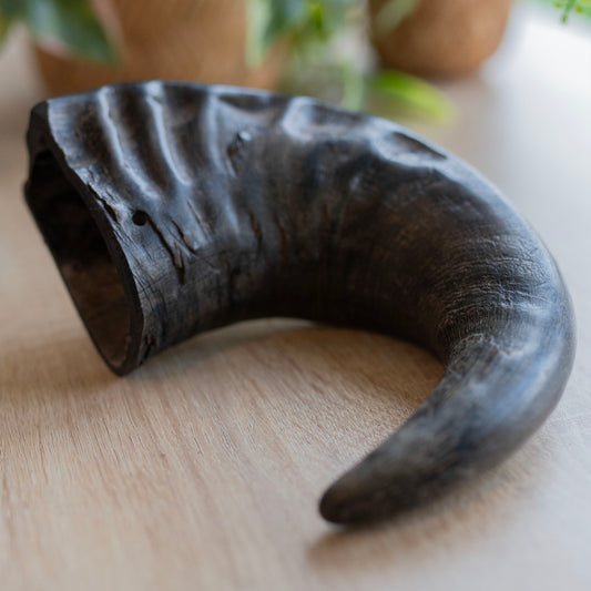 a side on view of a black horn