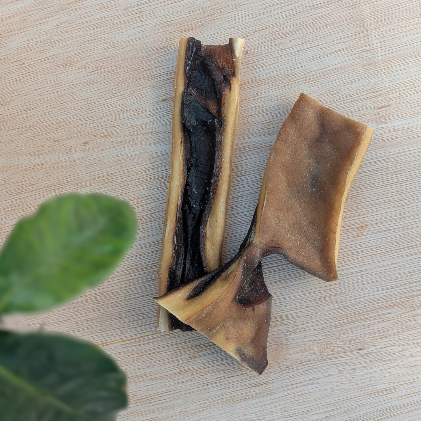 two pieces of camel skin on a wood board. There is two plant leaves in the bottom left corner
