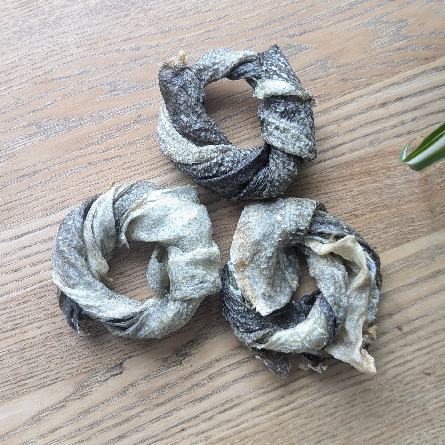 three cod skin doughnut dog chews next to each other in a triangle shape
