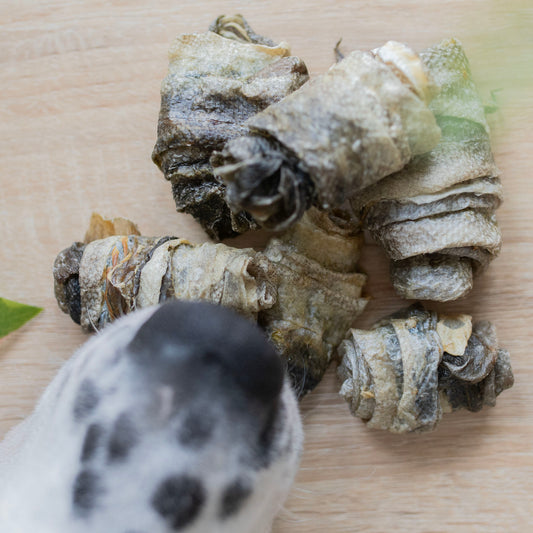 approx seven cod skin rolls on a table, photo from above. There is a a spotty dalmatian nose sniffing them from the bottom left corner