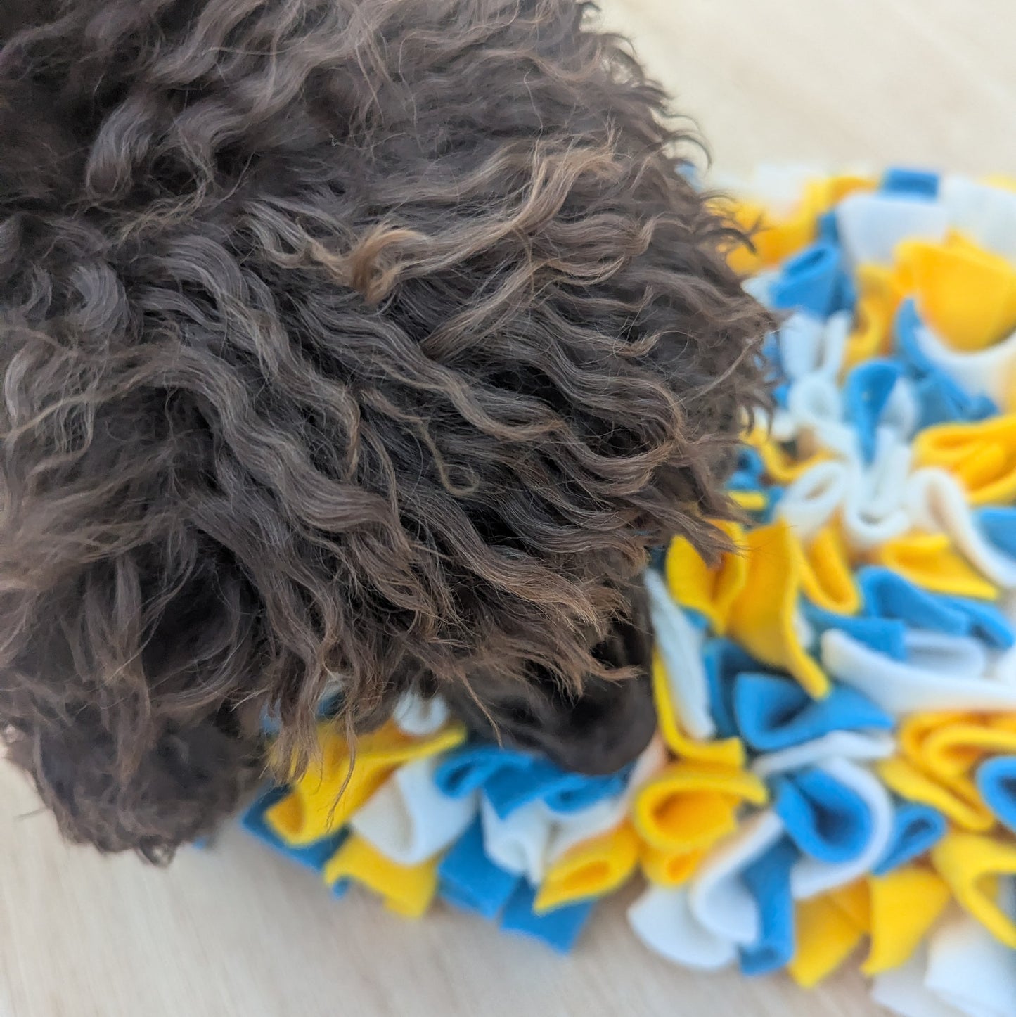 a brown cocker spaniel with a very floofy head sniffing the snuffle mat