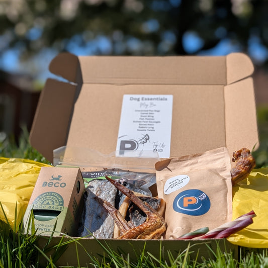 Open cardboard box with pet treats and BECO poo bags on grass