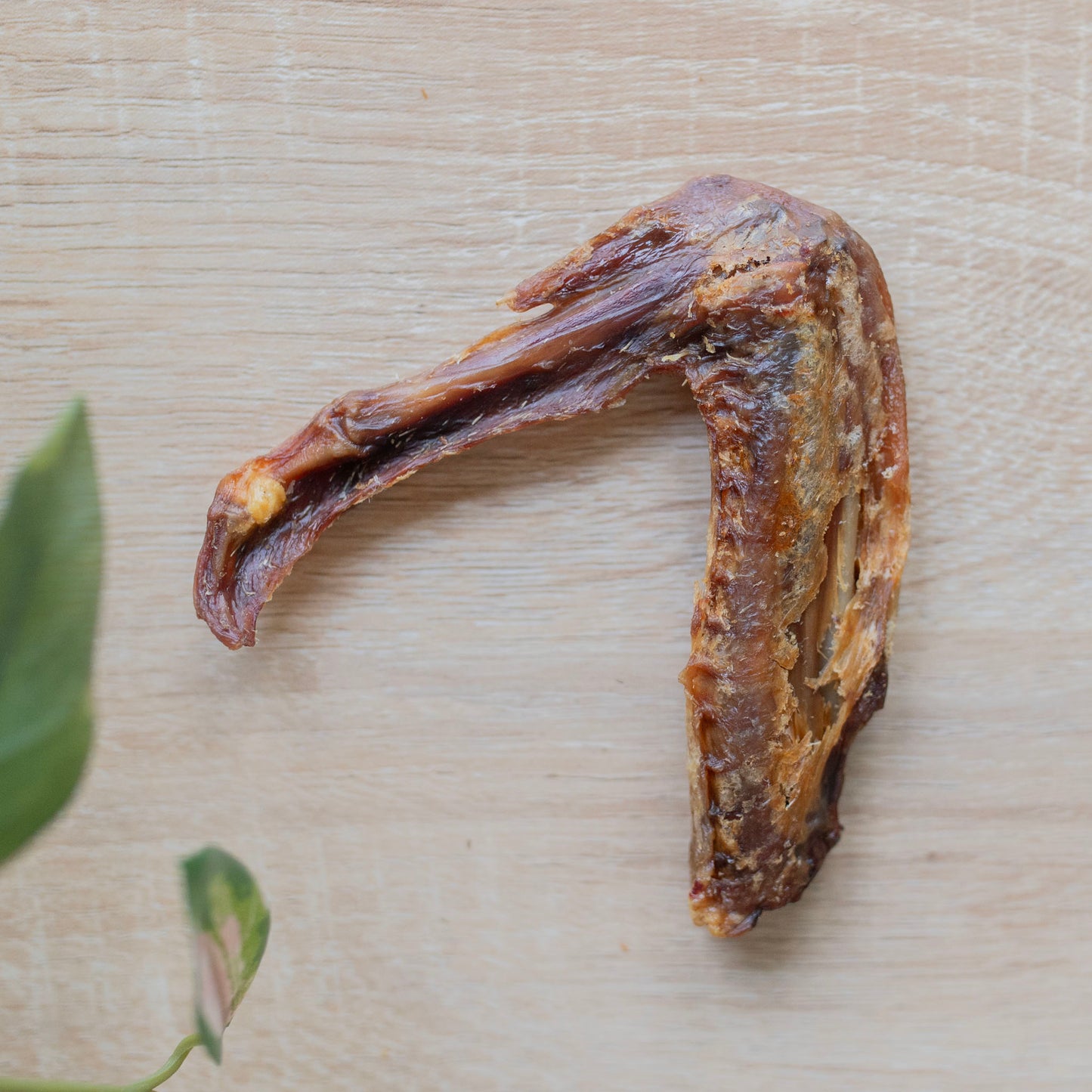 a dried duck wing dog chew on a wooden table, the meater side is pointing down and the thinner end is pointing at 8 o'clock. It's a V shape