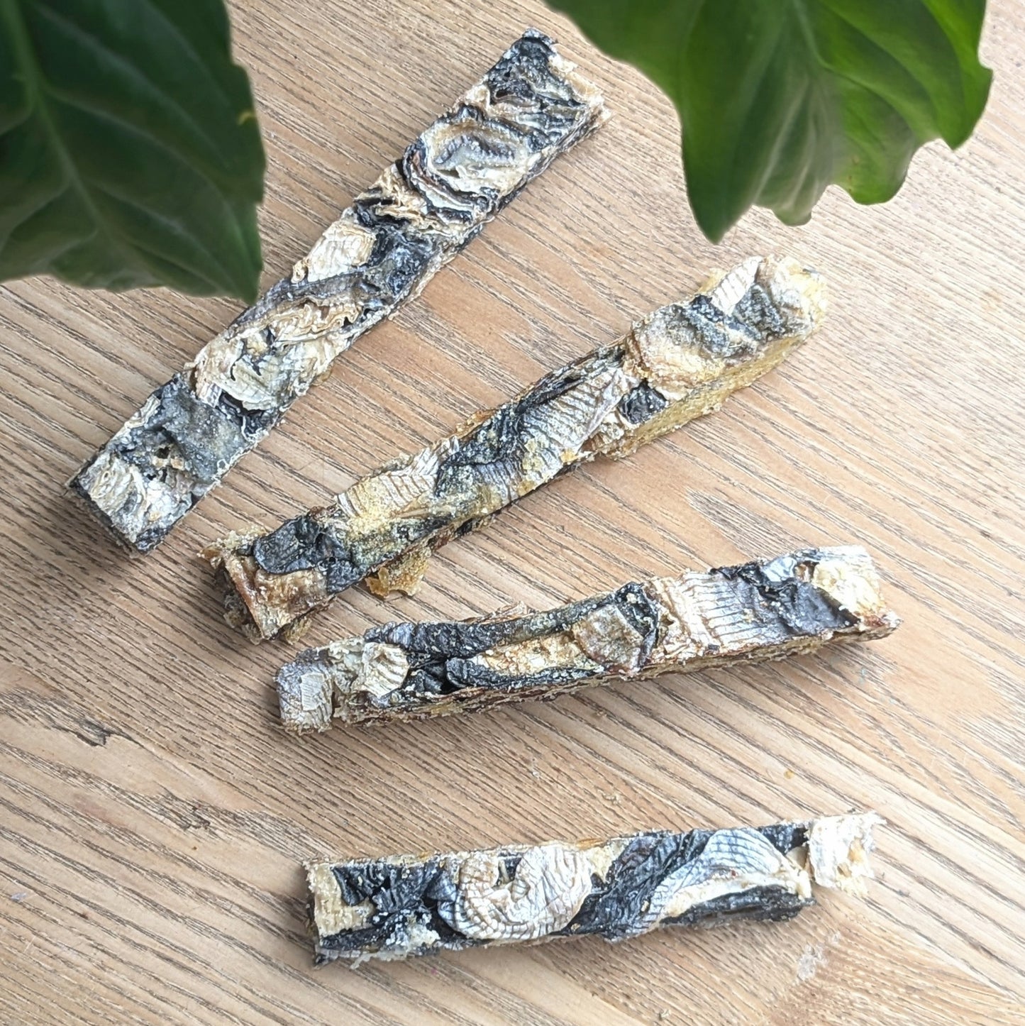 four white fish finger dog chews lying in a fan shape under two green plant leaves