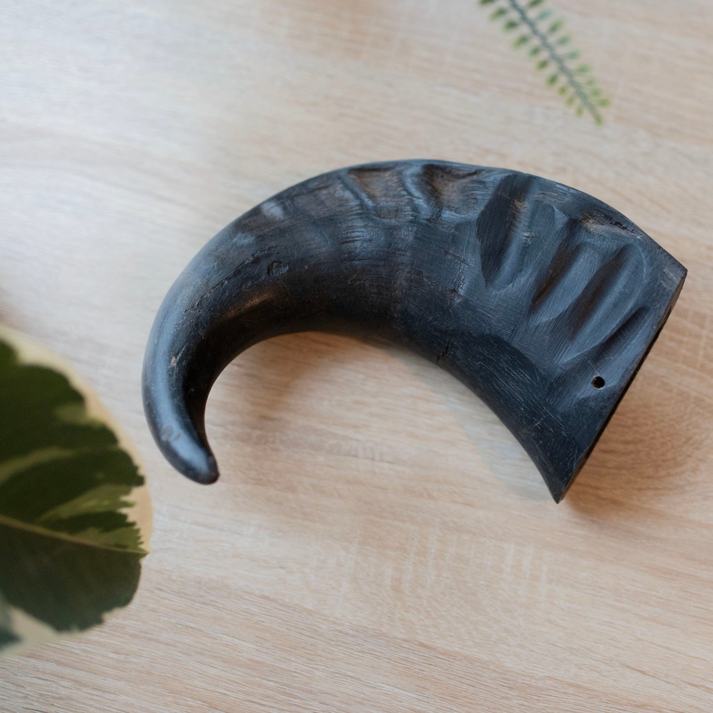 large black horn rom above