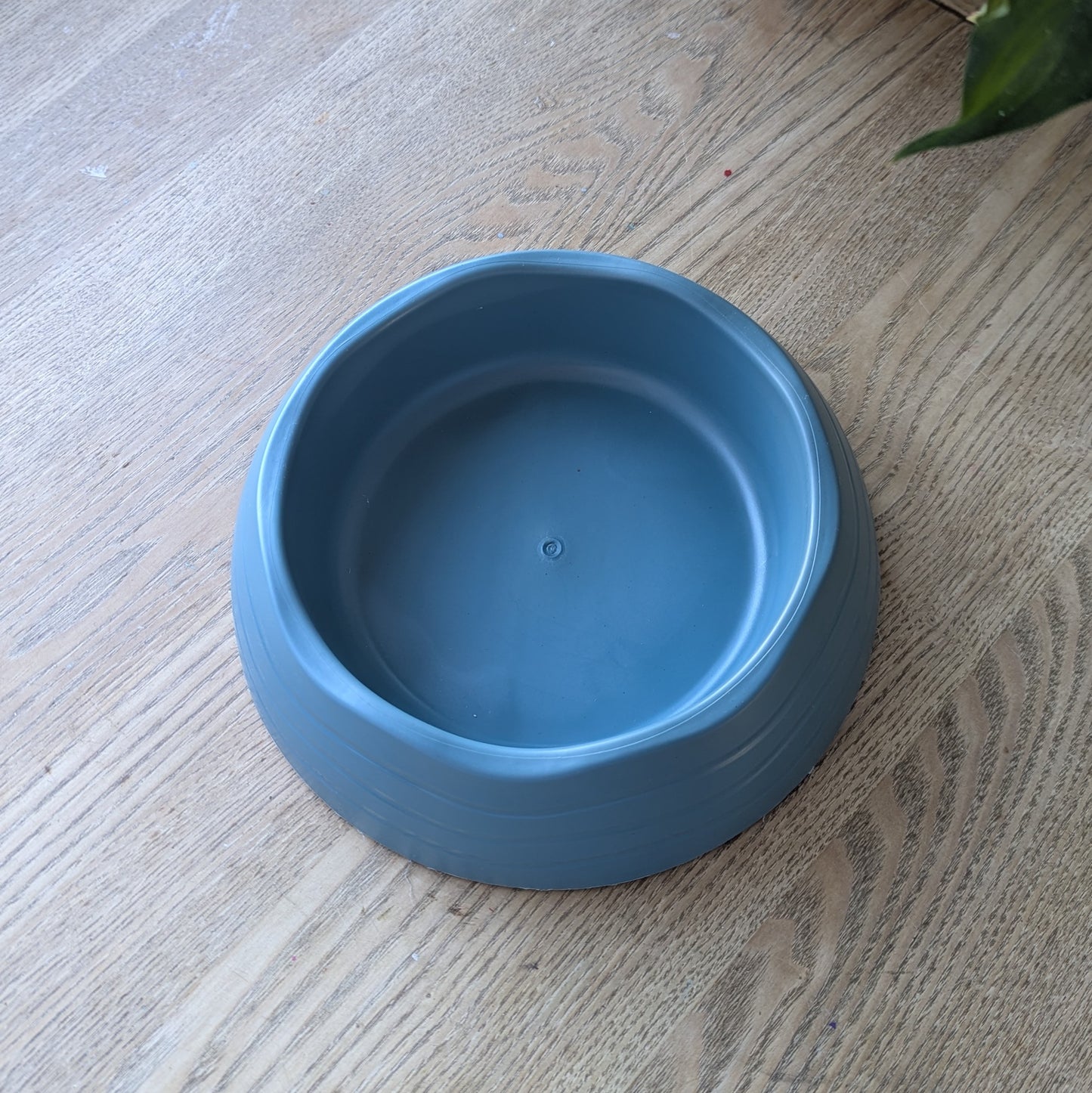 The ocean blue dog bowl is on a wooden table. The colour is between a light blue and a darker blue