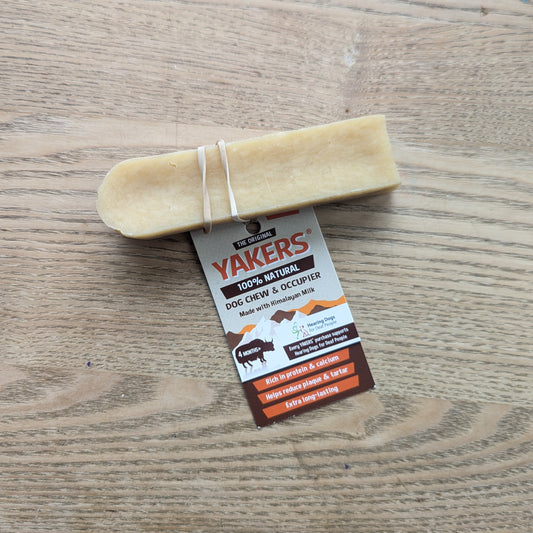 one single yakers yak original chew with an elastic band around the chew