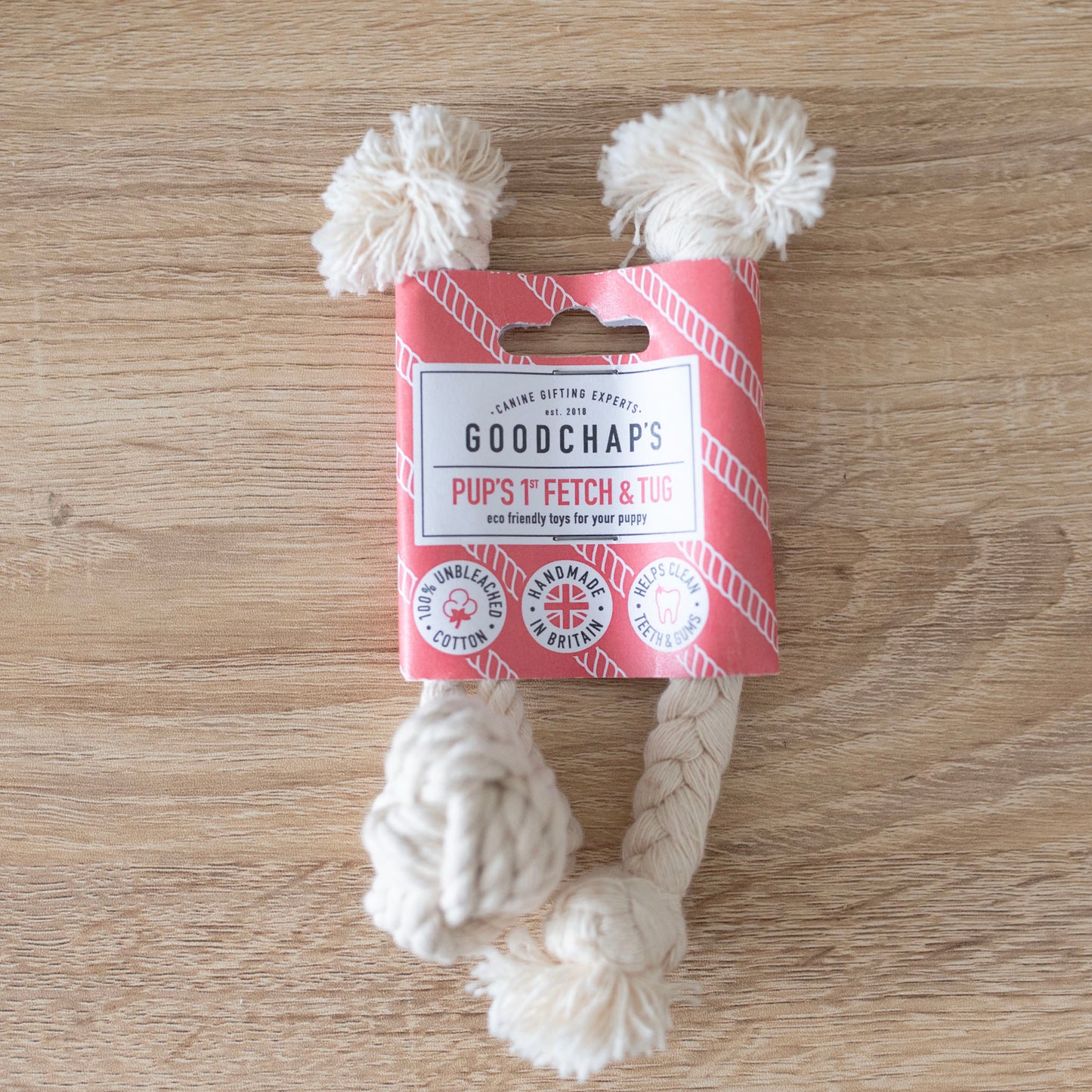 Pups First Fetch & Tug