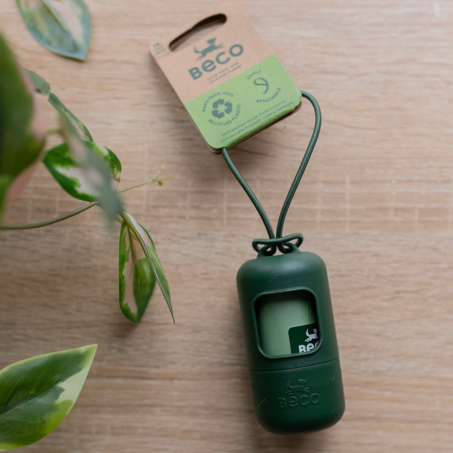 Poo Bag Dispenser