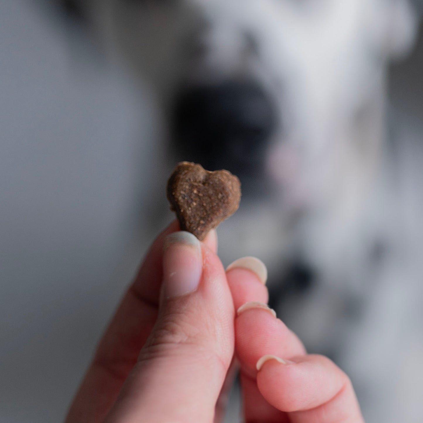 Luv Hearts 100g