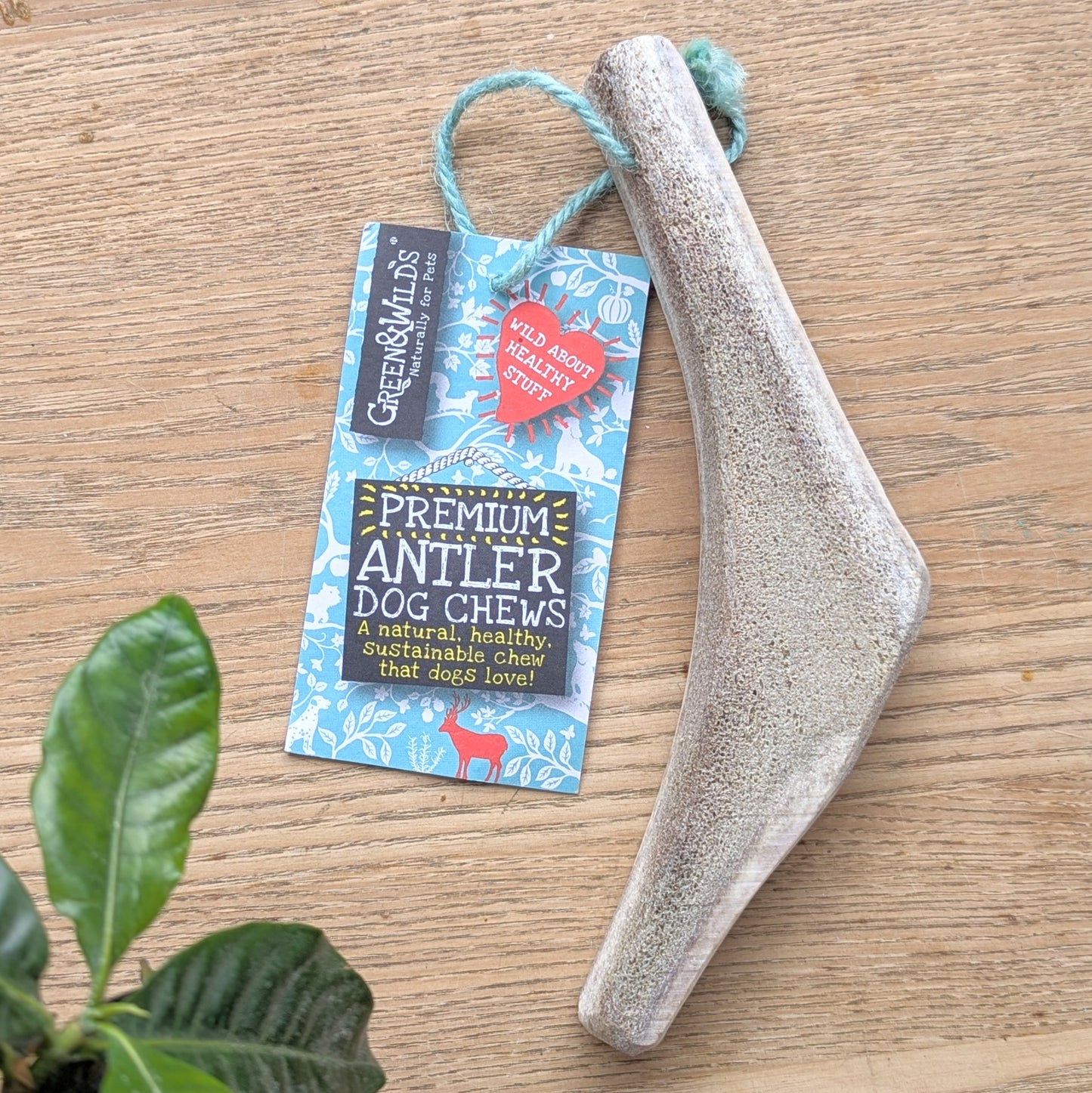 Easy Antler Chew