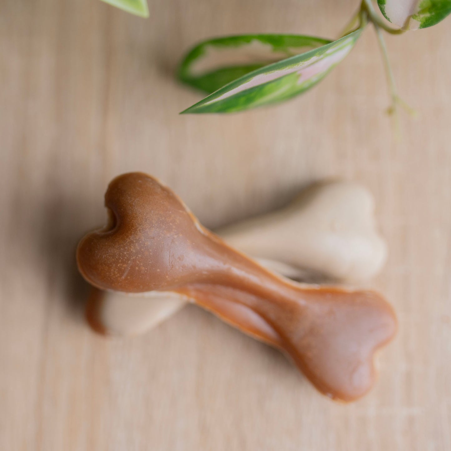 Peanut Butter Bone