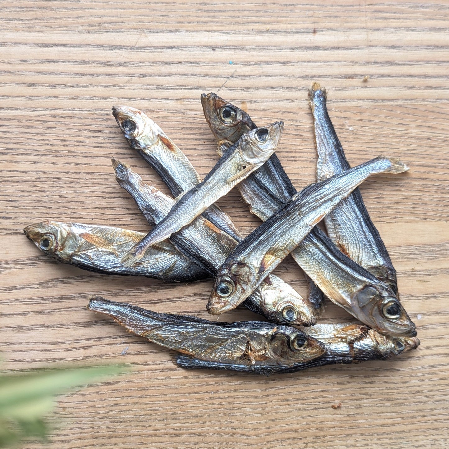 a pile of sprats piled on top of each other. There is a blurred leaf poking out of the bottom left corner