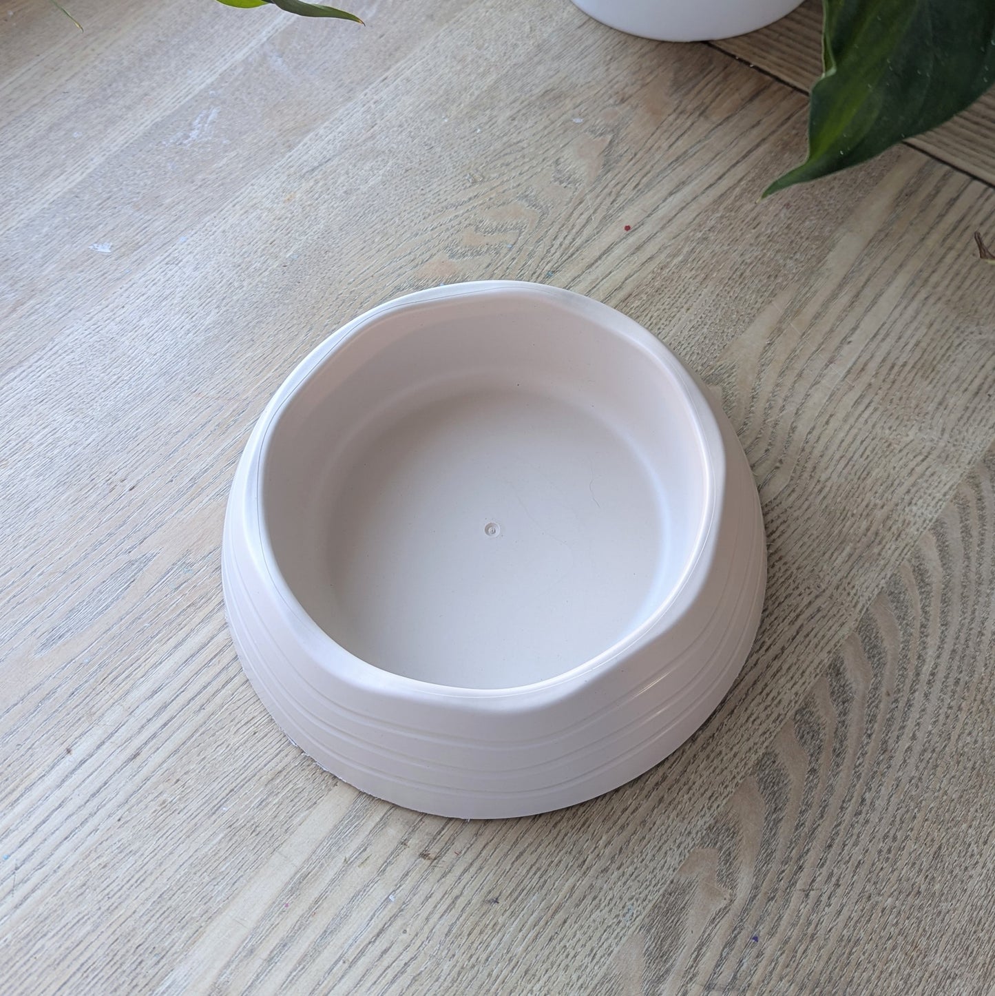 The stone eco dog bowl is on a wooden table. It is more cream in colour