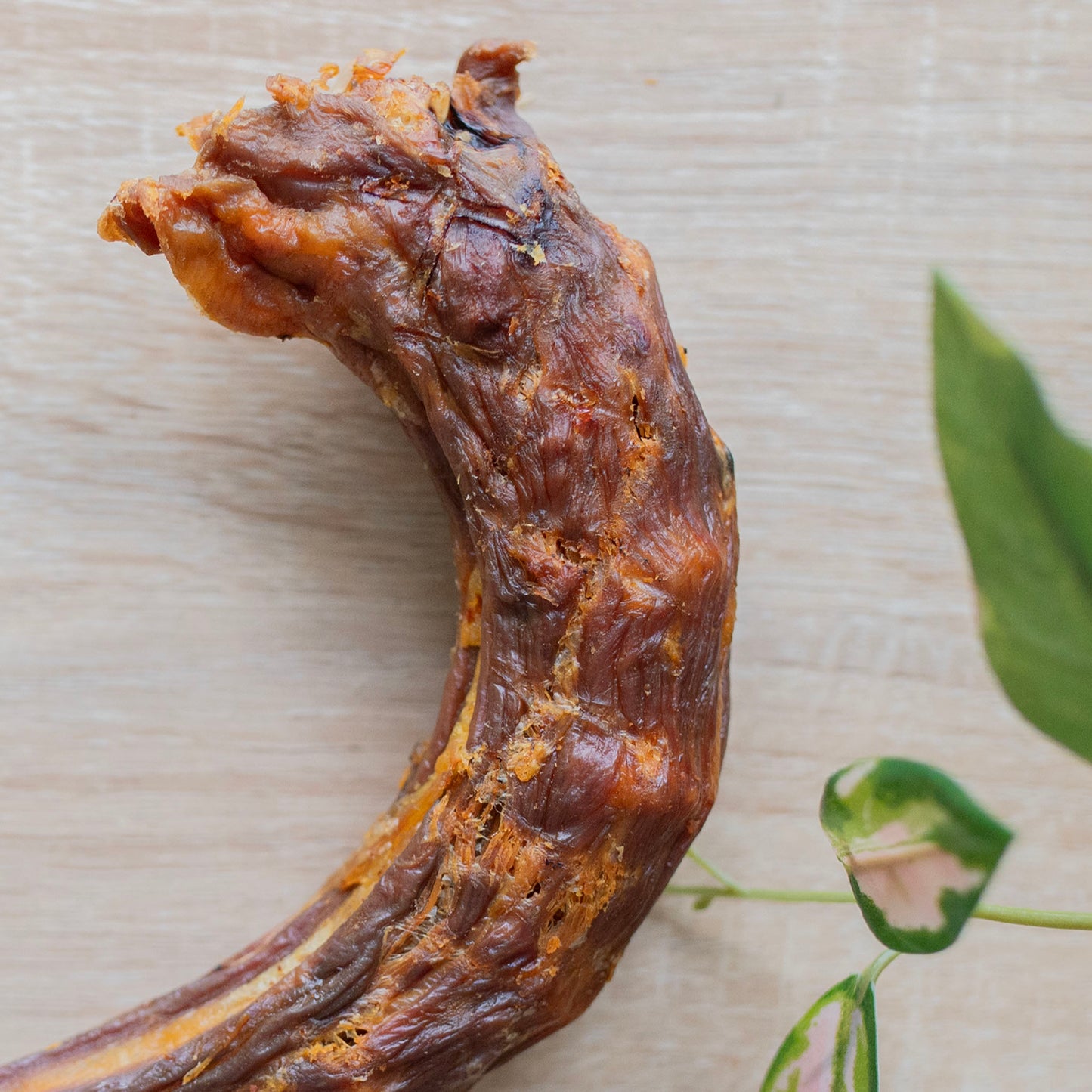 a close up of the turkey neck arch, there is some leaves from a plant on the right side of the photo