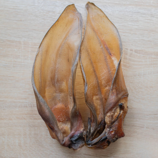 two buffalo ears next to each other, the photo is taken from above. The tips of the ears are at the top of the photo, the ears are vertical