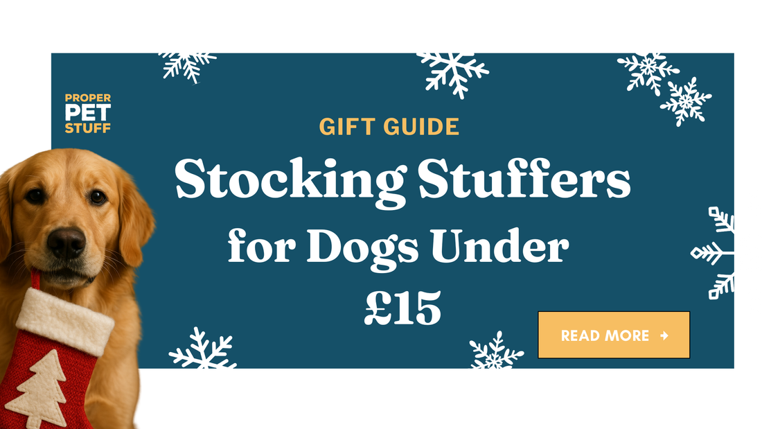 Stocking Stuffers Under £15 for Your Dog