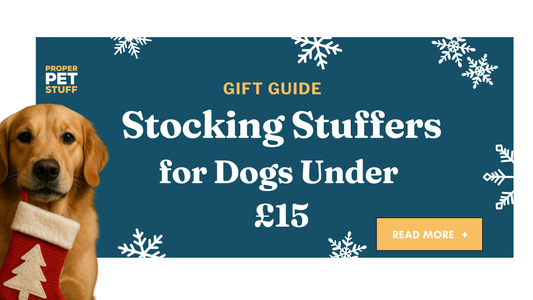 Stocking Stuffers Under £15 for Your Dog