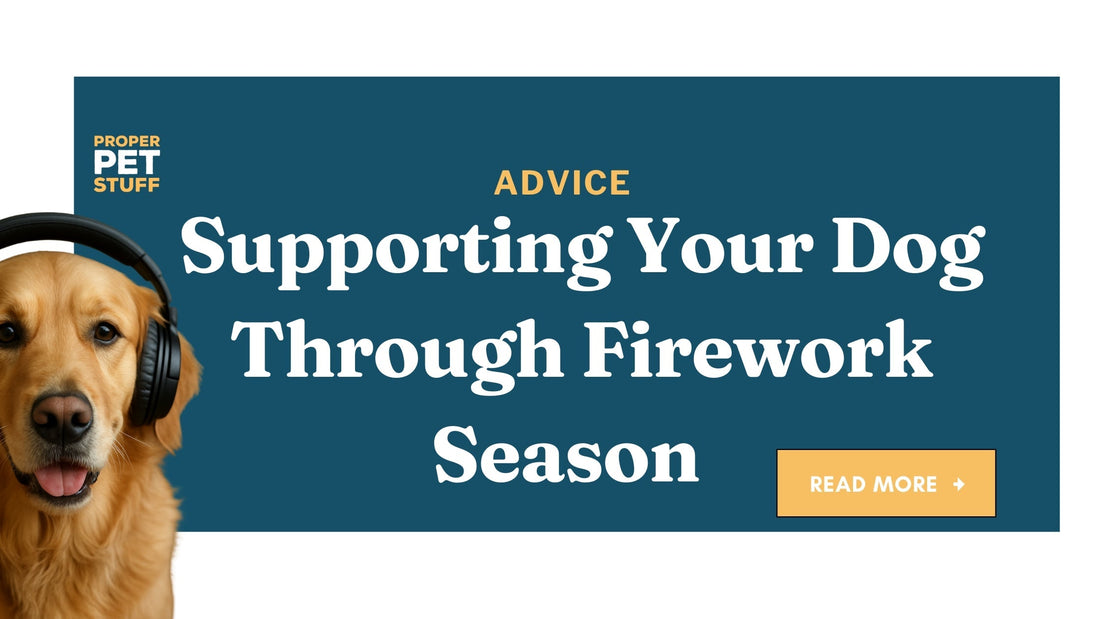 Supporting Your Dog Through Firework Season