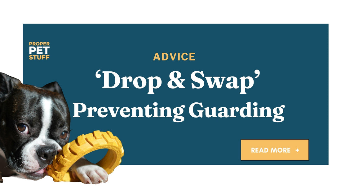 Drop and Swap | Preventing Resource Guarding