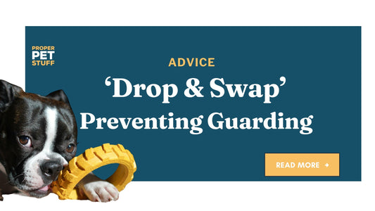 Drop and Swap | Preventing Resource Guarding