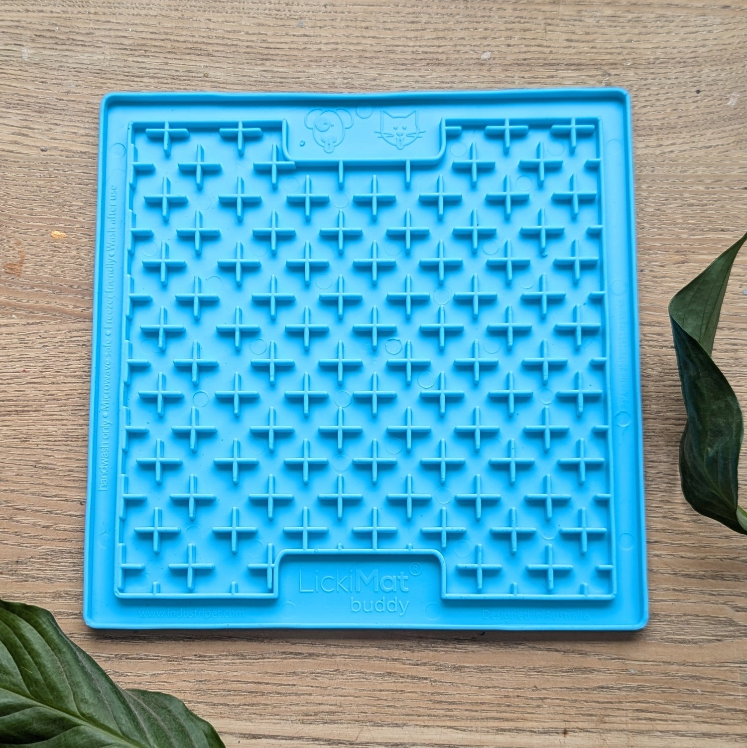 Dog Toys & Enrichment