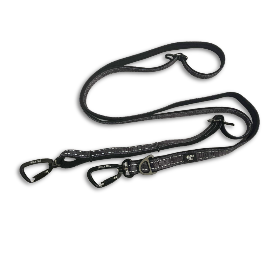 Onyx TrailFinder Multi-way Lead