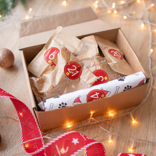 A dog advent calendar with wrapped items and festive ribbons on a wooden surface with string lights.