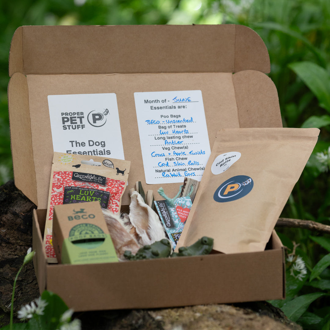 Open cardboard box containing dog treats and snacks with visible brand labels against a natural background.
