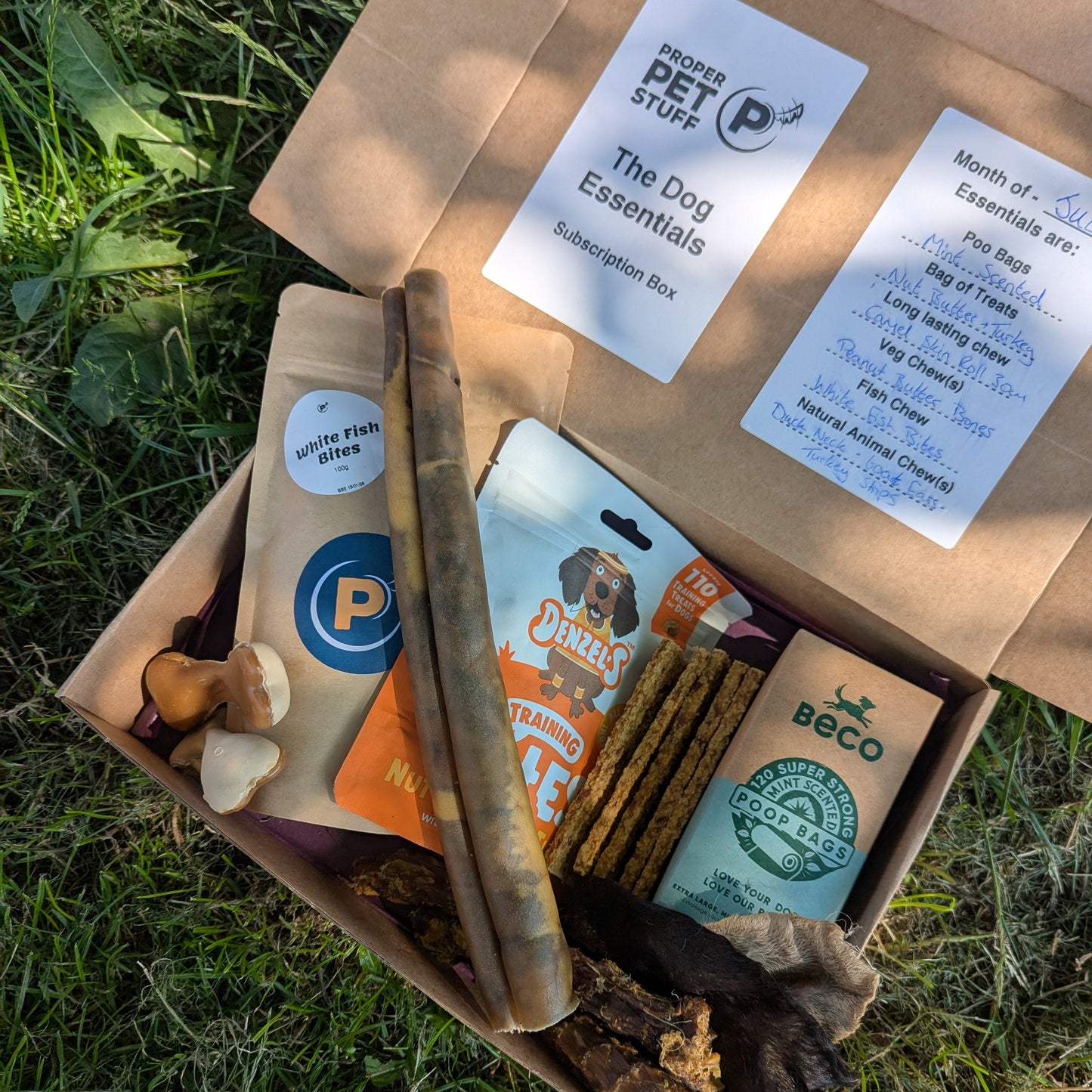 Dog subscription box with pet supplies on grass