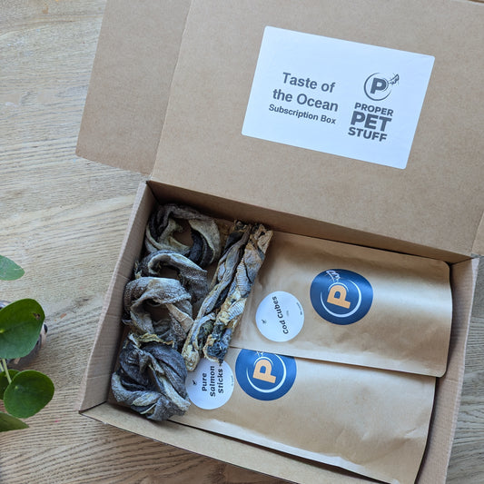 Our taste of the ocean subscription box is open showing the name on the open lid. You can see every item inside - the cod donuts and fish fingers are on the left of the box and the cod cubes and salmon stick are in brown craft bags on the right.