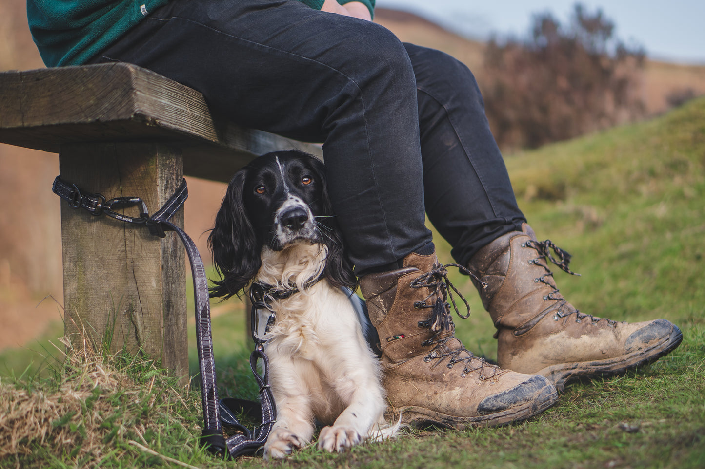 Onyx TrailFinder Multi-way Lead