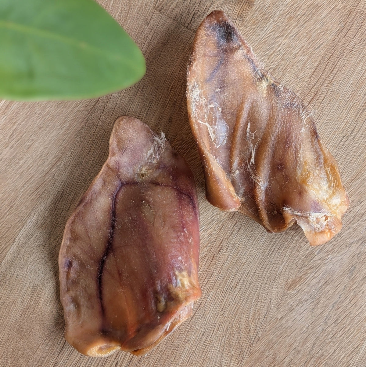 Two dried pigs ears arranged on a light wood surface, with a green leaf partially visible in the top left corner.