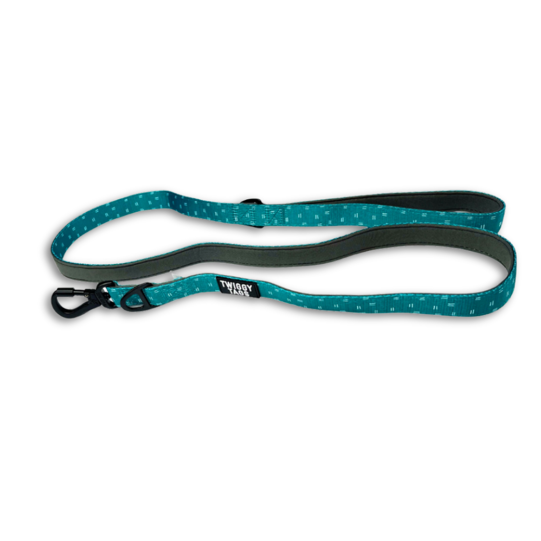 A turquoise dog lead with a small black carabiner clip