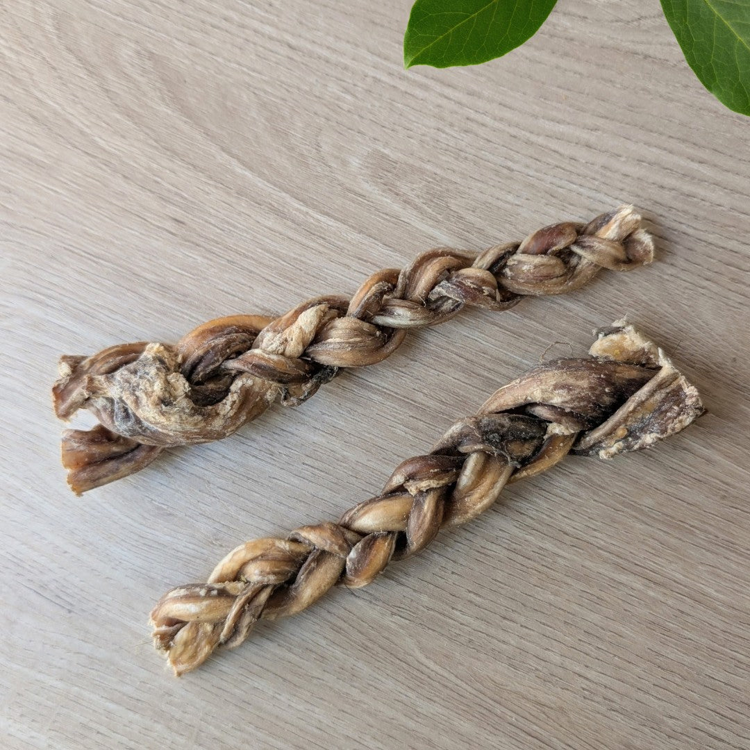 Two natural braided dog chew made from dried bull pizzle, displayed on a light wood grain surface with green leaves in the corner.