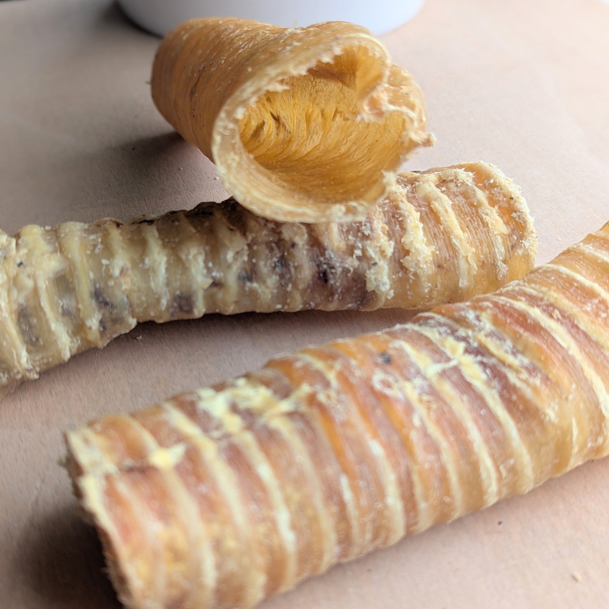 three buffalo trachea. One is leaning on another and yoo can see the hollow inside
