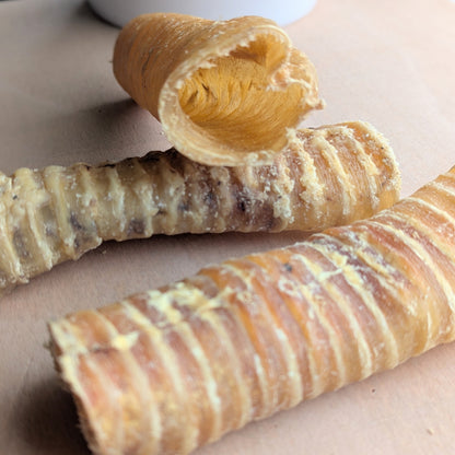 three buffalo trachea. One is leaning on another and yoo can see the hollow inside