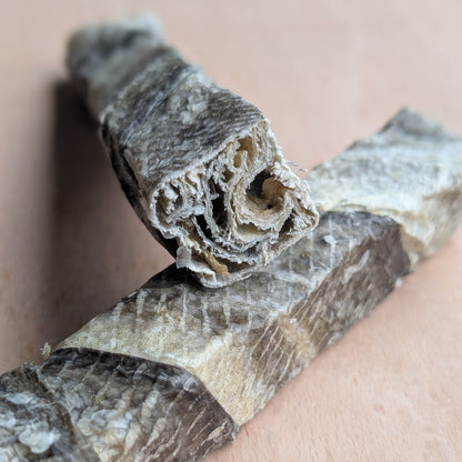 A close-up of dried cod skin jerky sticks, showing the textured, layered interior cross-section of one stick resting on a plain beige surface.