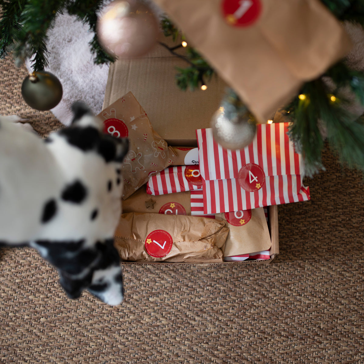 Christmas tree with the dog advent calendar under a tree on a carpeted floor