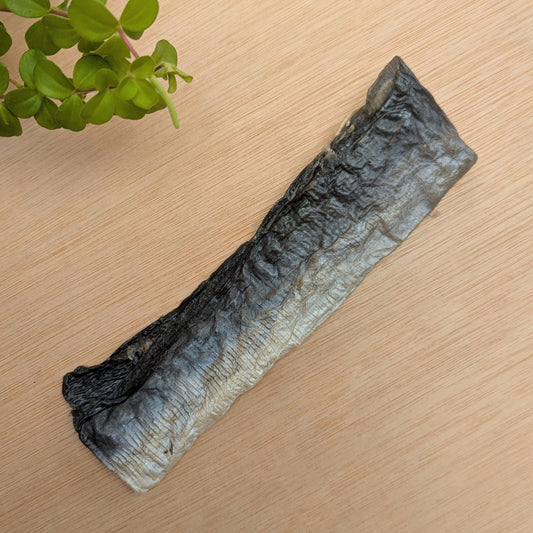 A single dried fish flat on a wooden surface with a plant in the top left corner