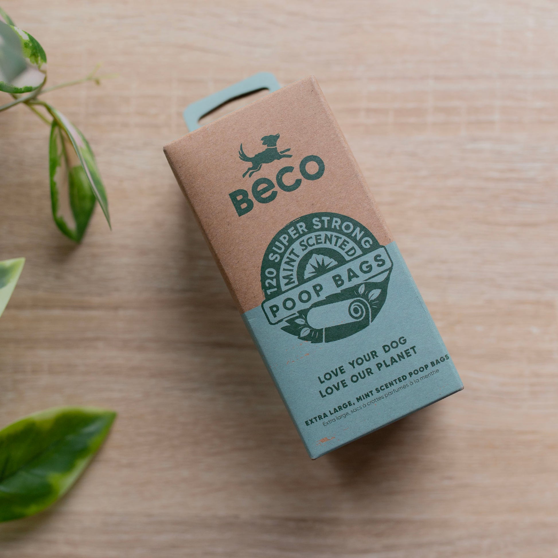 A beco mint poo bag box, it's half brown and half blue (bottom half of the box). It's slightly angled to the on the photo (25 past 11)